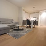 Rent of a new 2-room apartment, 56 m², Belgrade, Serbia
